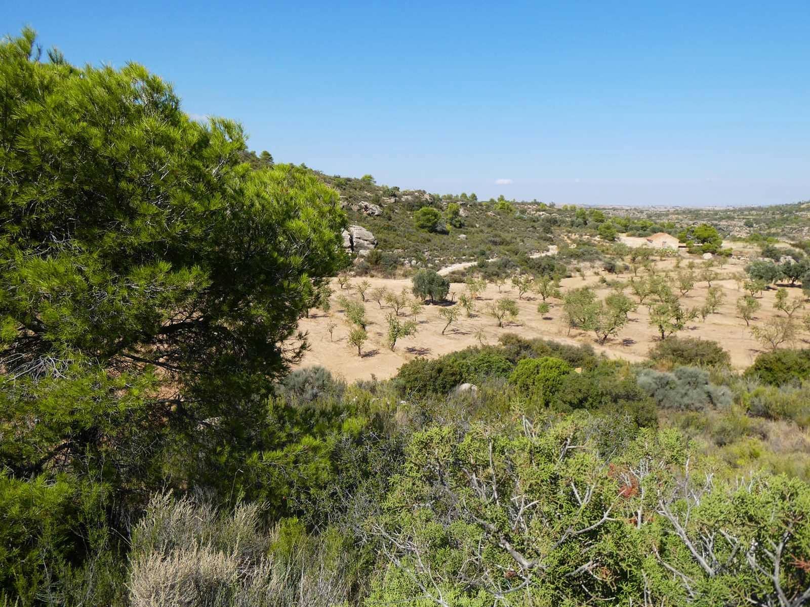 2 sypialnia Finka/Dom wiejski na sprzedaż w Maella - 77 000 € (Ref: 9329762)