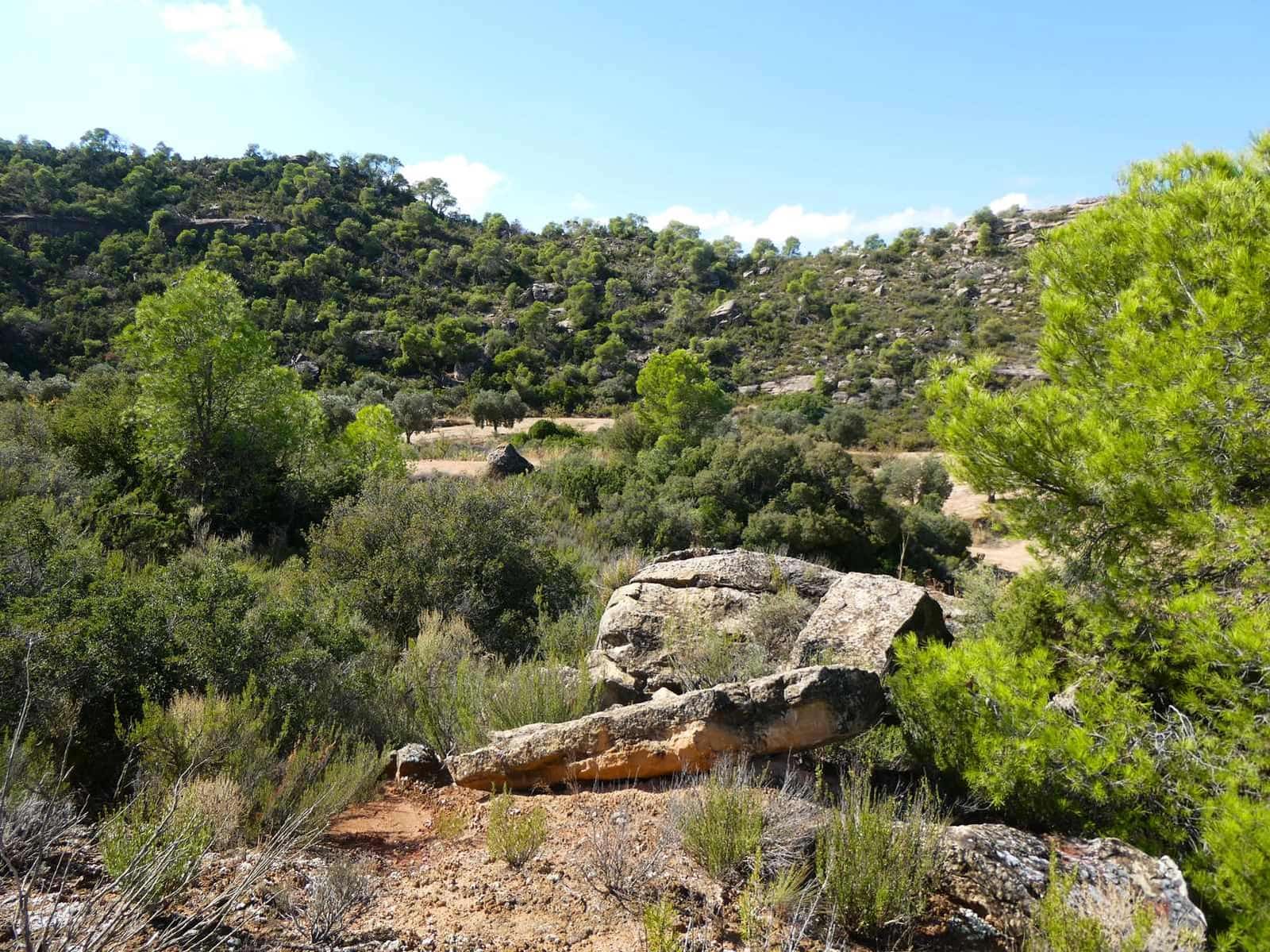 2 sypialnia Finka/Dom wiejski na sprzedaż w Maella - 77 000 € (Ref: 9329762)