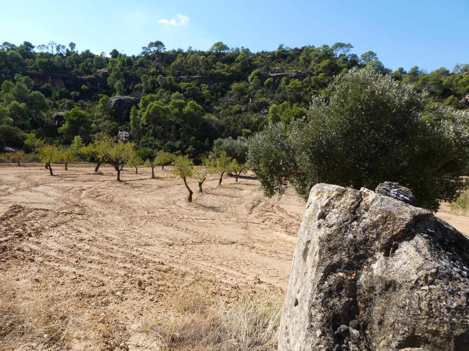 2 quarto Quinta/Casa Rural para venda em Maella - 69 000 € (Ref: 9329762)