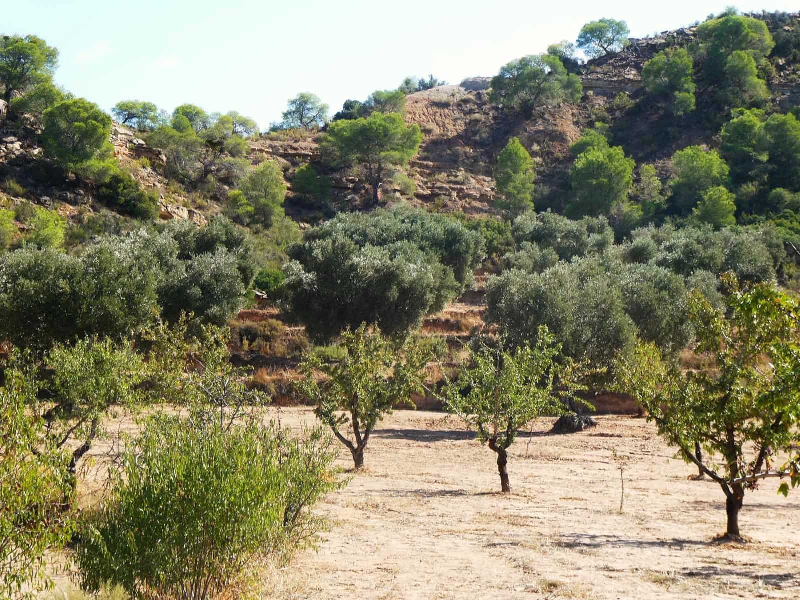 2 quarto Quinta/Casa Rural para venda em Maella - 69 000 € (Ref: 9329762)