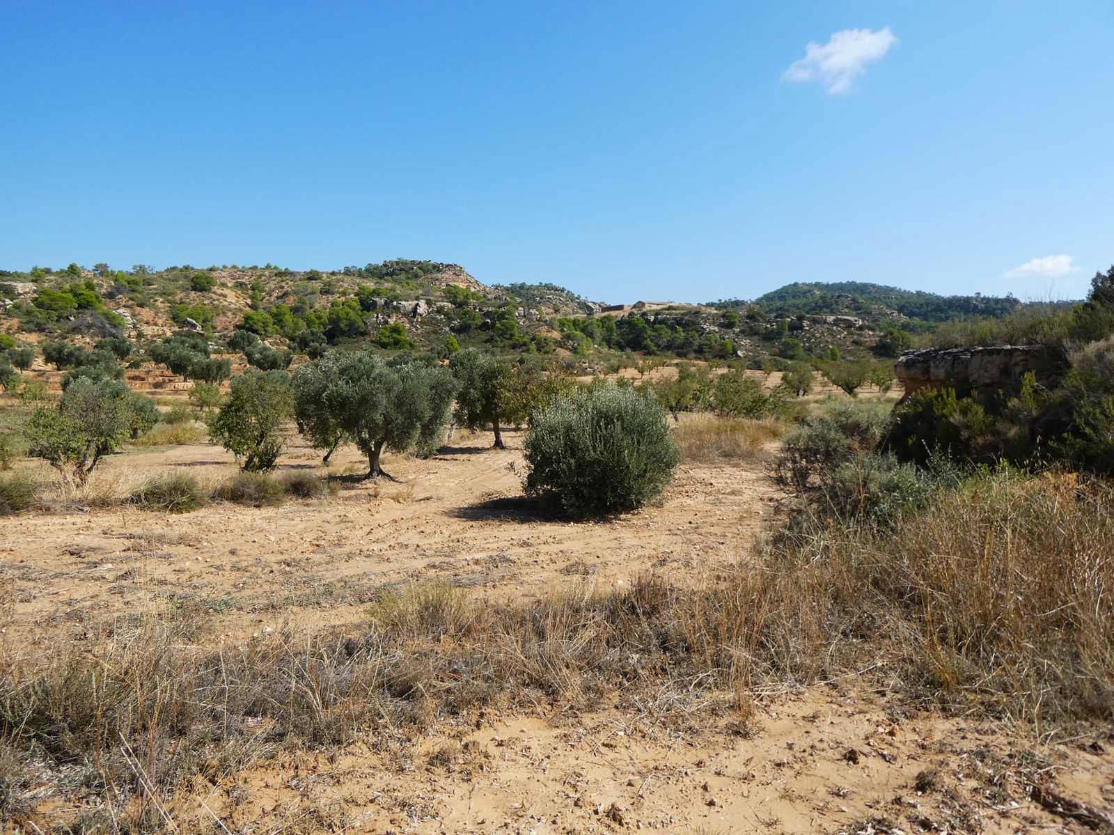 2 quarto Quinta/Casa Rural para venda em Maella - 69 000 € (Ref: 9329762)