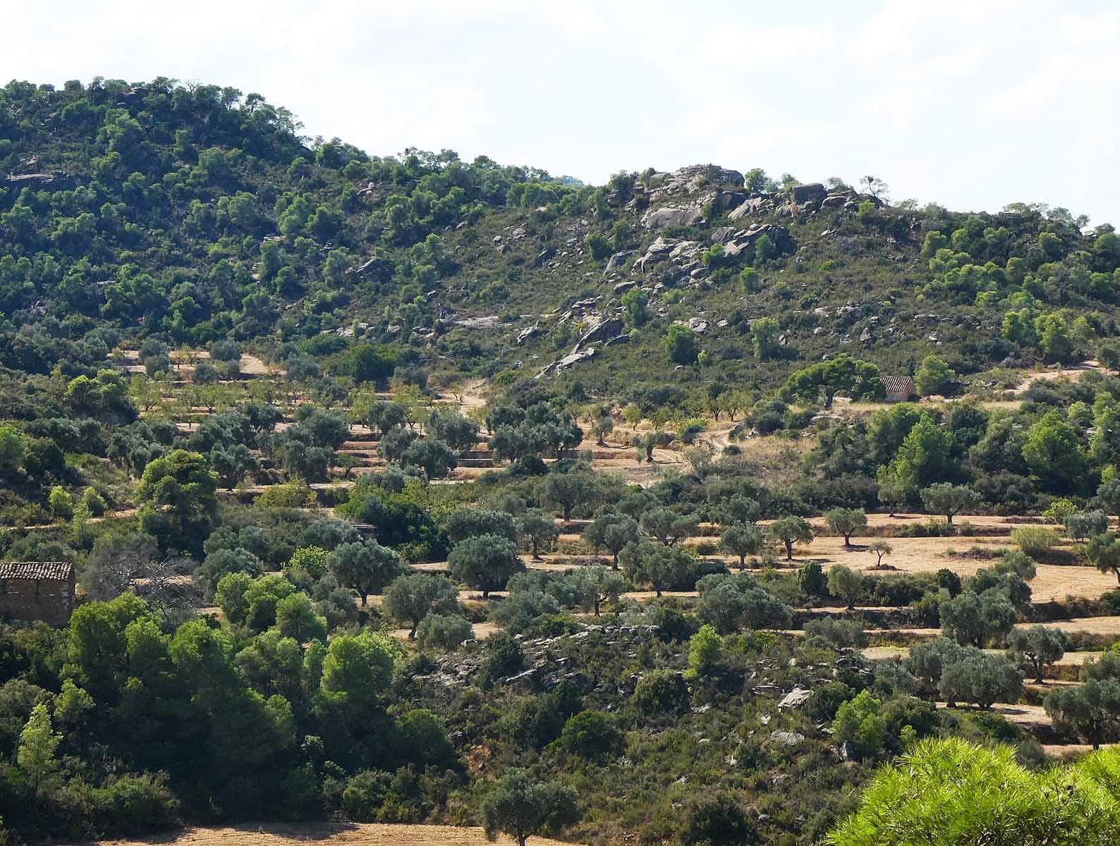 2 quarto Quinta/Casa Rural para venda em Maella - 69 000 € (Ref: 9329762)