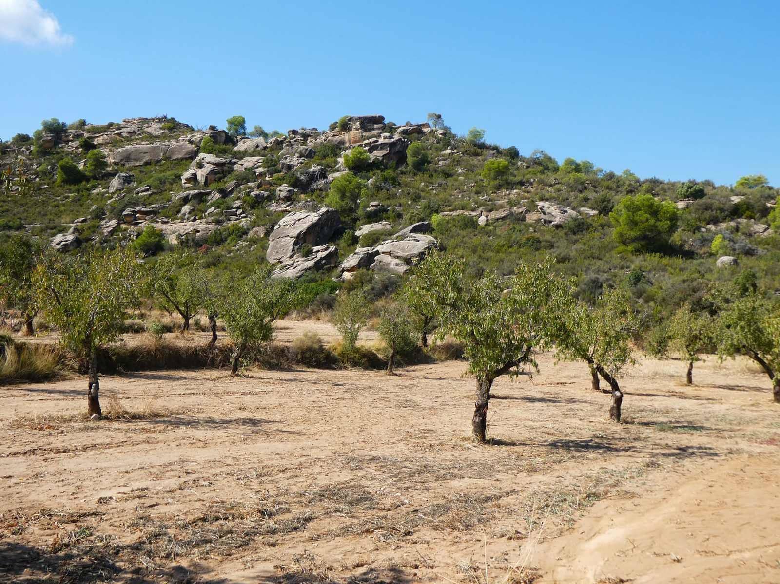 2 quarto Quinta/Casa Rural para venda em Maella - 69 000 € (Ref: 9329762)