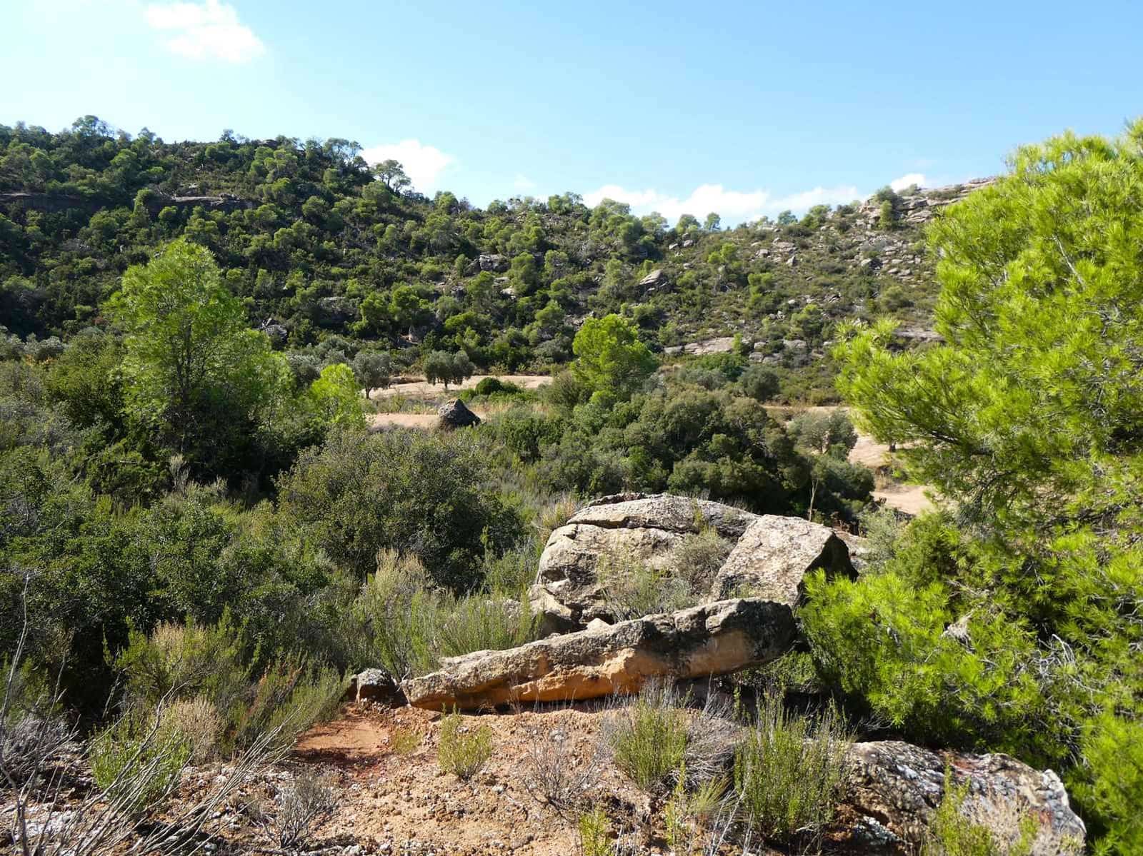 2 quarto Quinta/Casa Rural para venda em Maella - 69 000 € (Ref: 9329762)