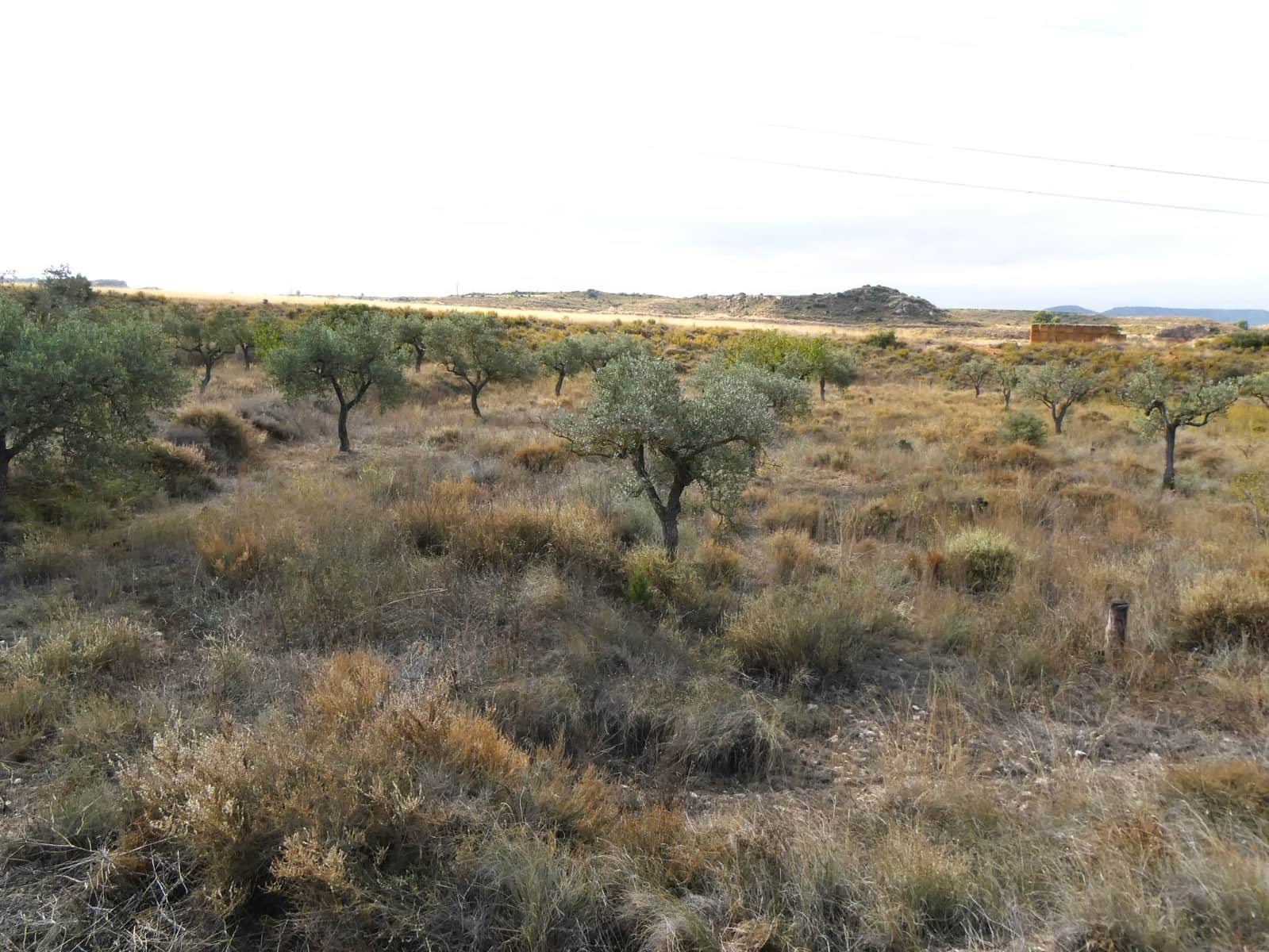 1 makuuhuone Maalaistalo myytävänä paikassa Caspe - 26 500 € (Ref: 9345675)