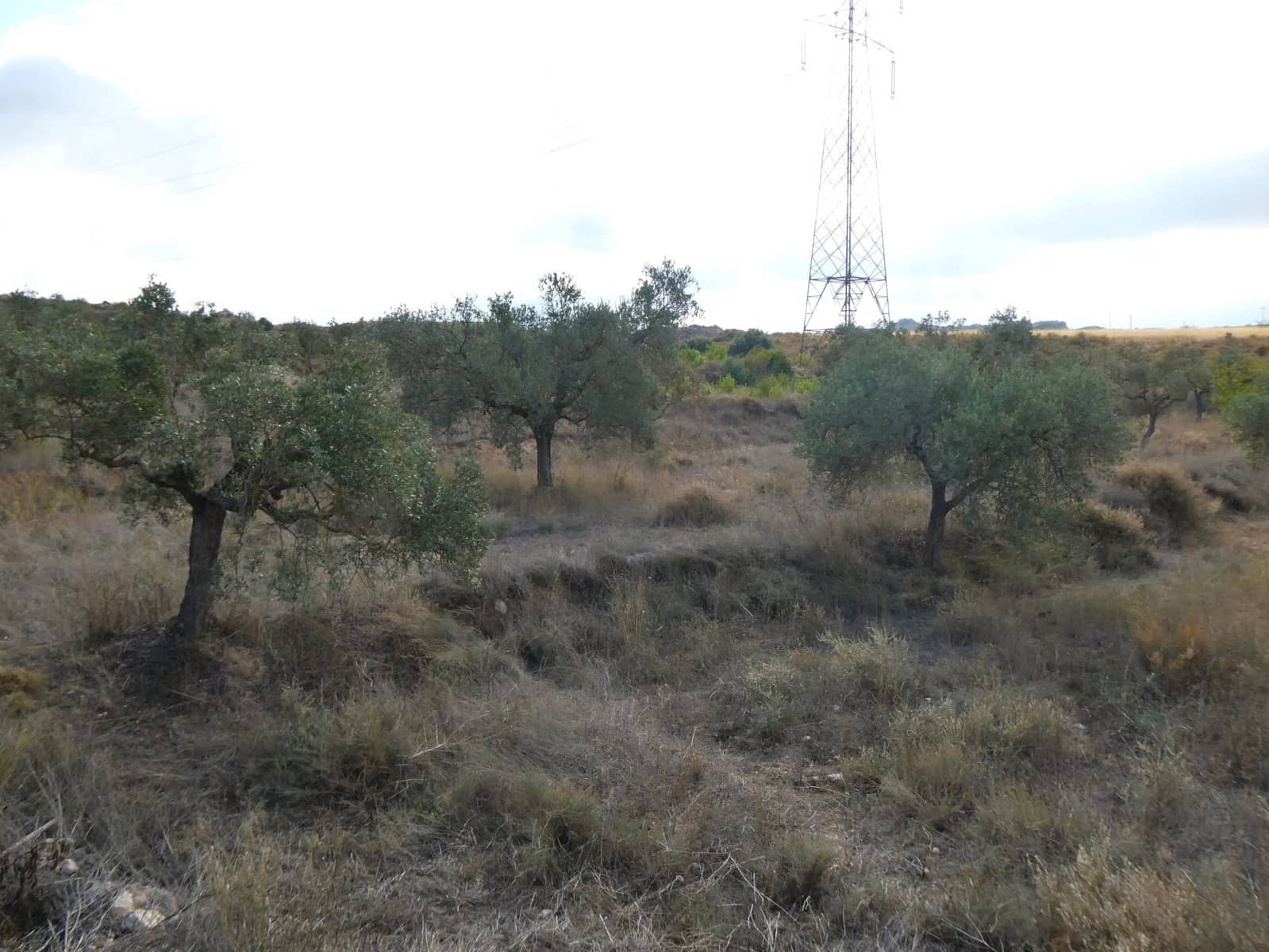 1 makuuhuone Maalaistalo myytävänä paikassa Caspe - 26 500 € (Ref: 9345675)