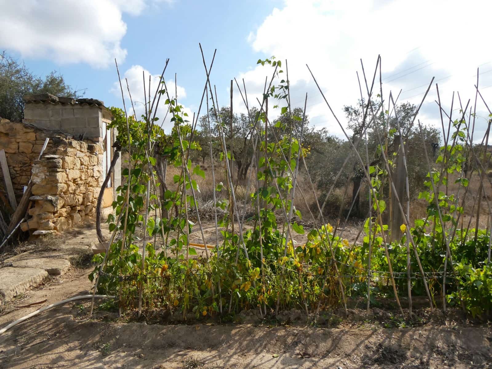 1 makuuhuone Maalaistalo myytävänä paikassa Caspe - 26 500 € (Ref: 9345675)