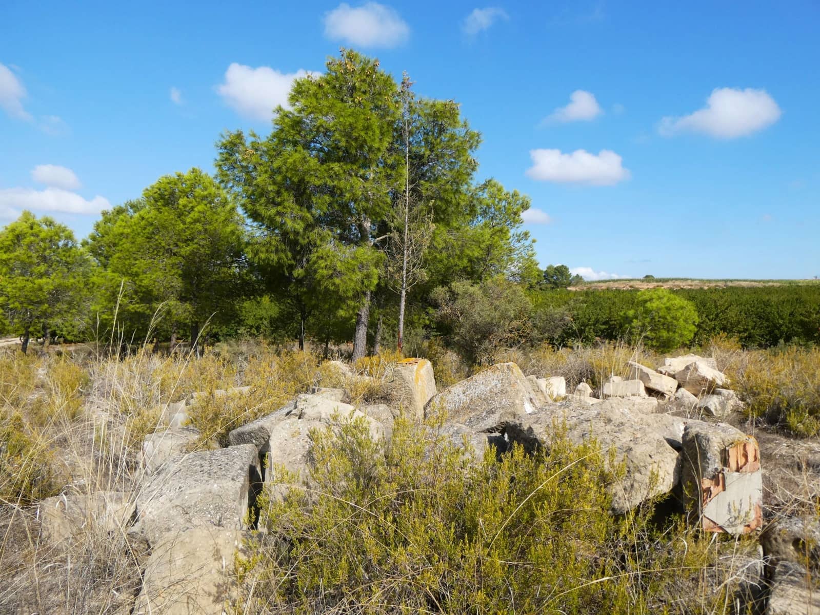 1 makuuhuone Maalaistalo myytävänä paikassa Caspe - 26 500 € (Ref: 9345675)