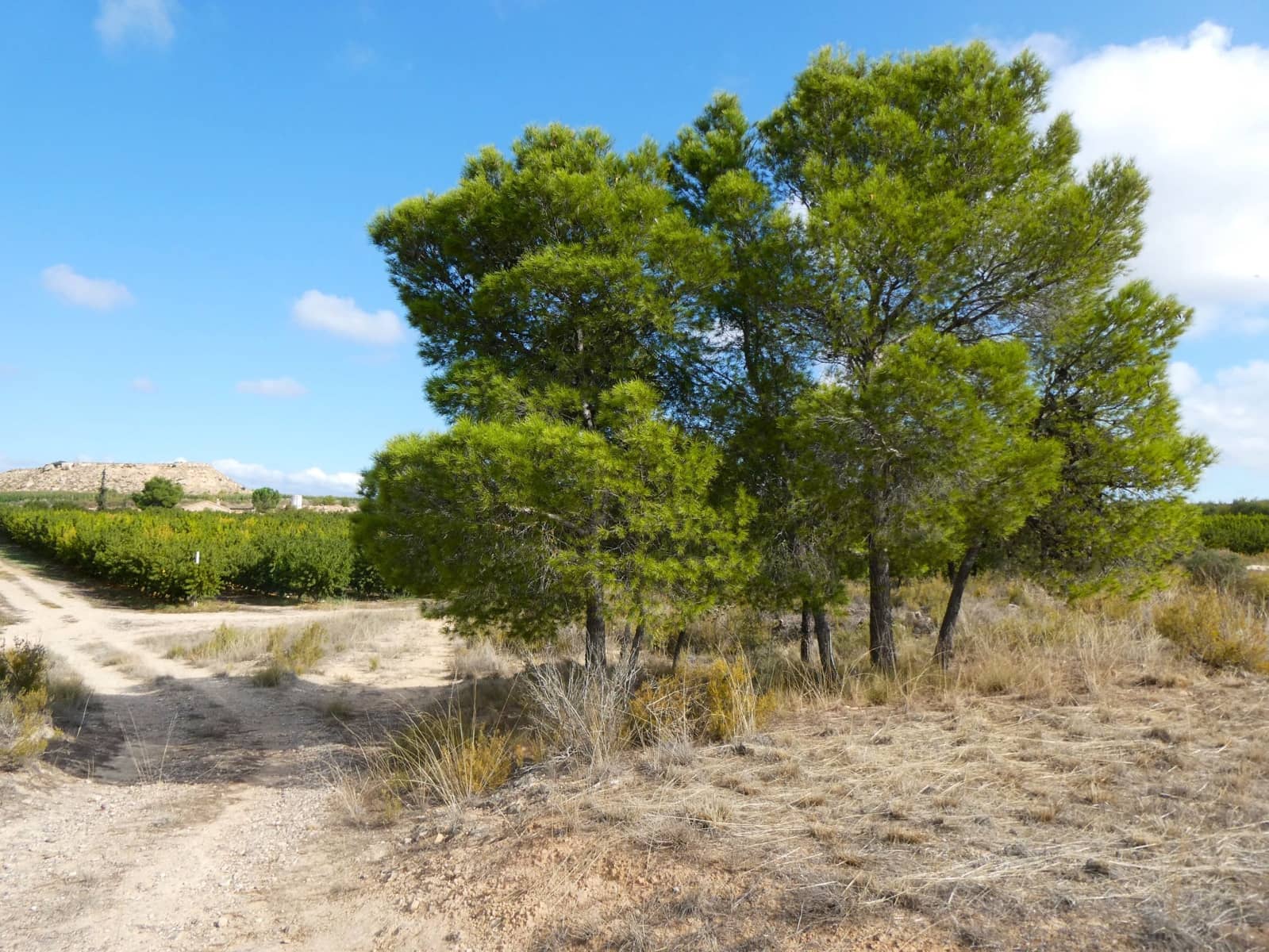 1 makuuhuone Maalaistalo myytävänä paikassa Caspe - 26 500 € (Ref: 9345675)