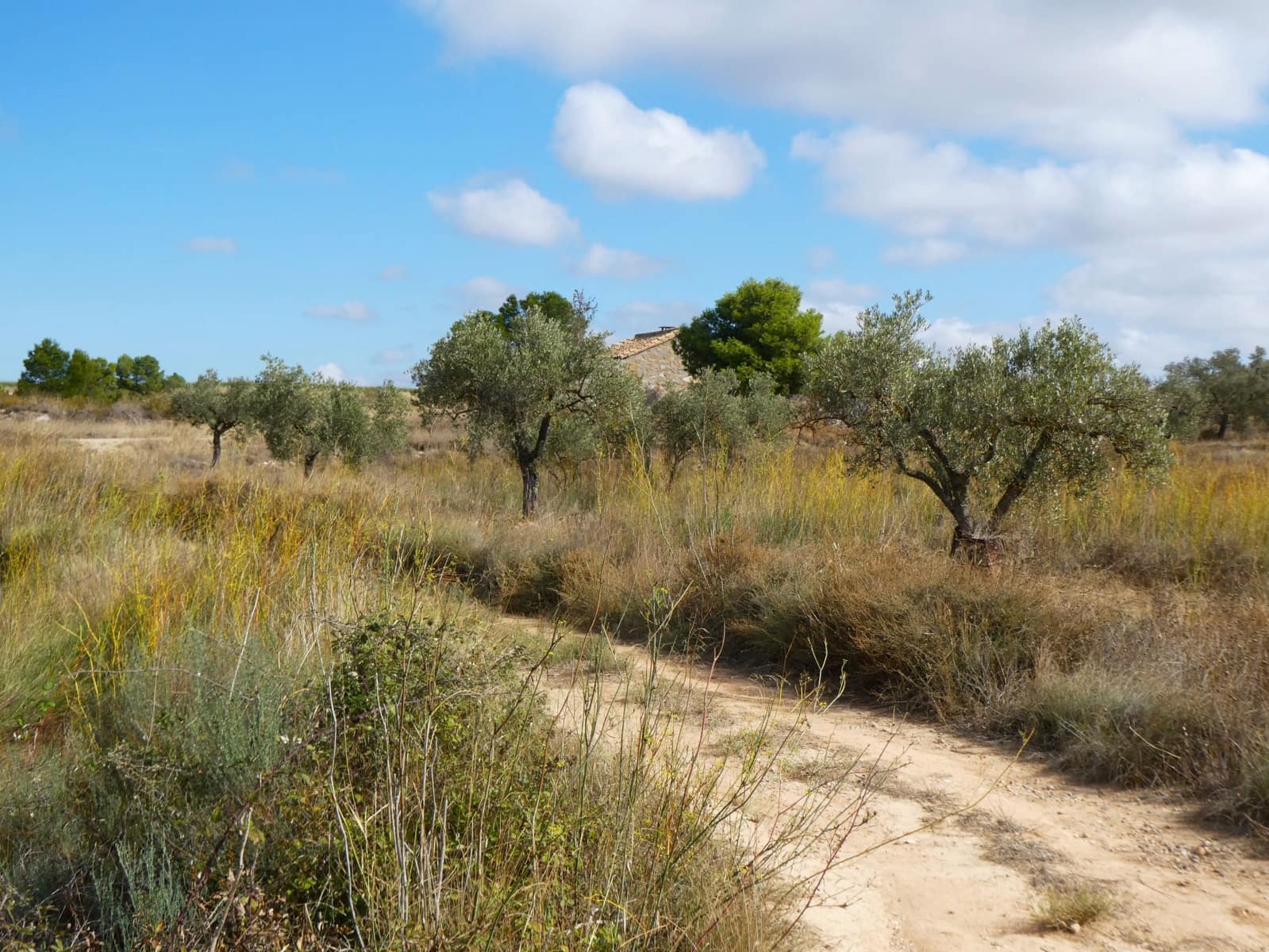 1 makuuhuone Maalaistalo myytävänä paikassa Caspe - 26 500 € (Ref: 9345675)