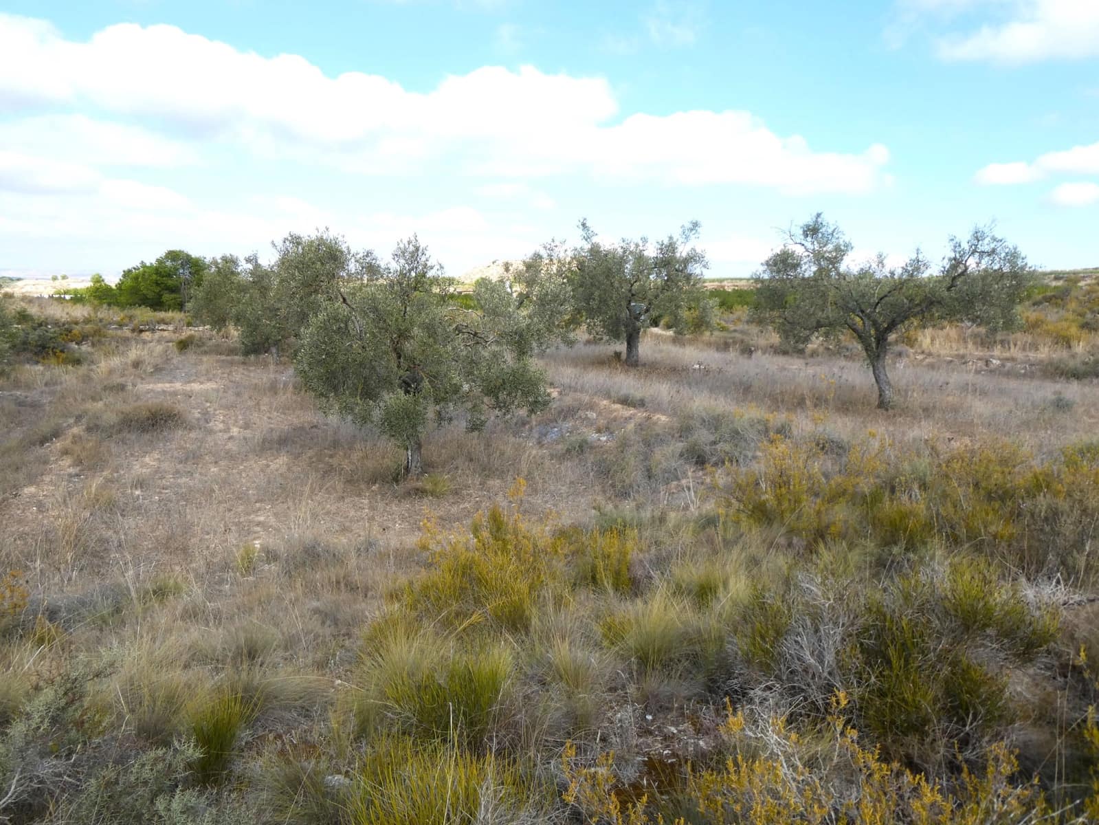 1 makuuhuone Maalaistalo myytävänä paikassa Caspe - 26 500 € (Ref: 9345675)