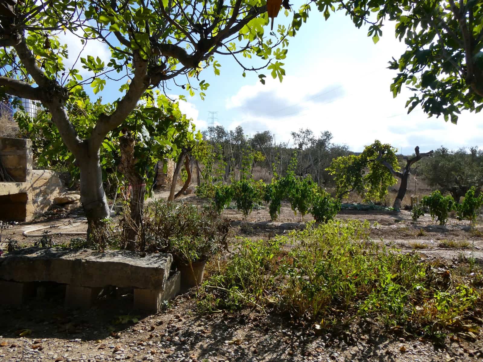 1 makuuhuone Maalaistalo myytävänä paikassa Caspe - 26 500 € (Ref: 9345675)