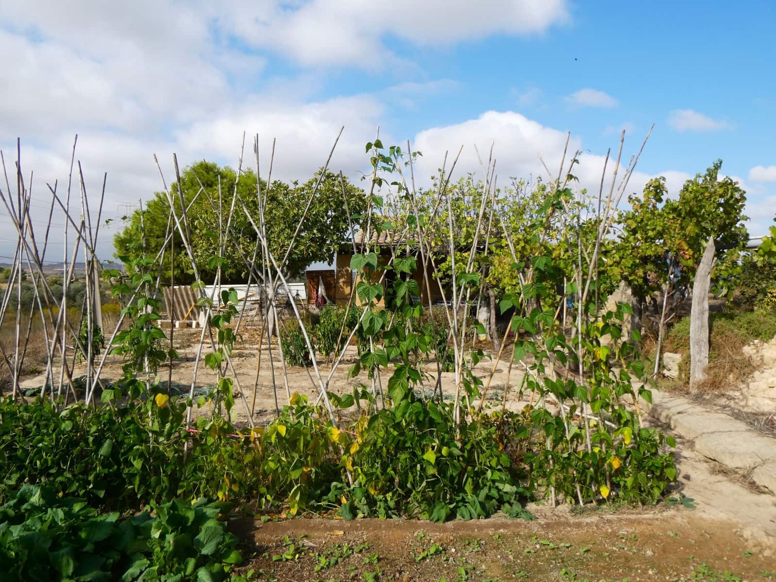 1 makuuhuone Maalaistalo myytävänä paikassa Caspe - 26 500 € (Ref: 9345675)