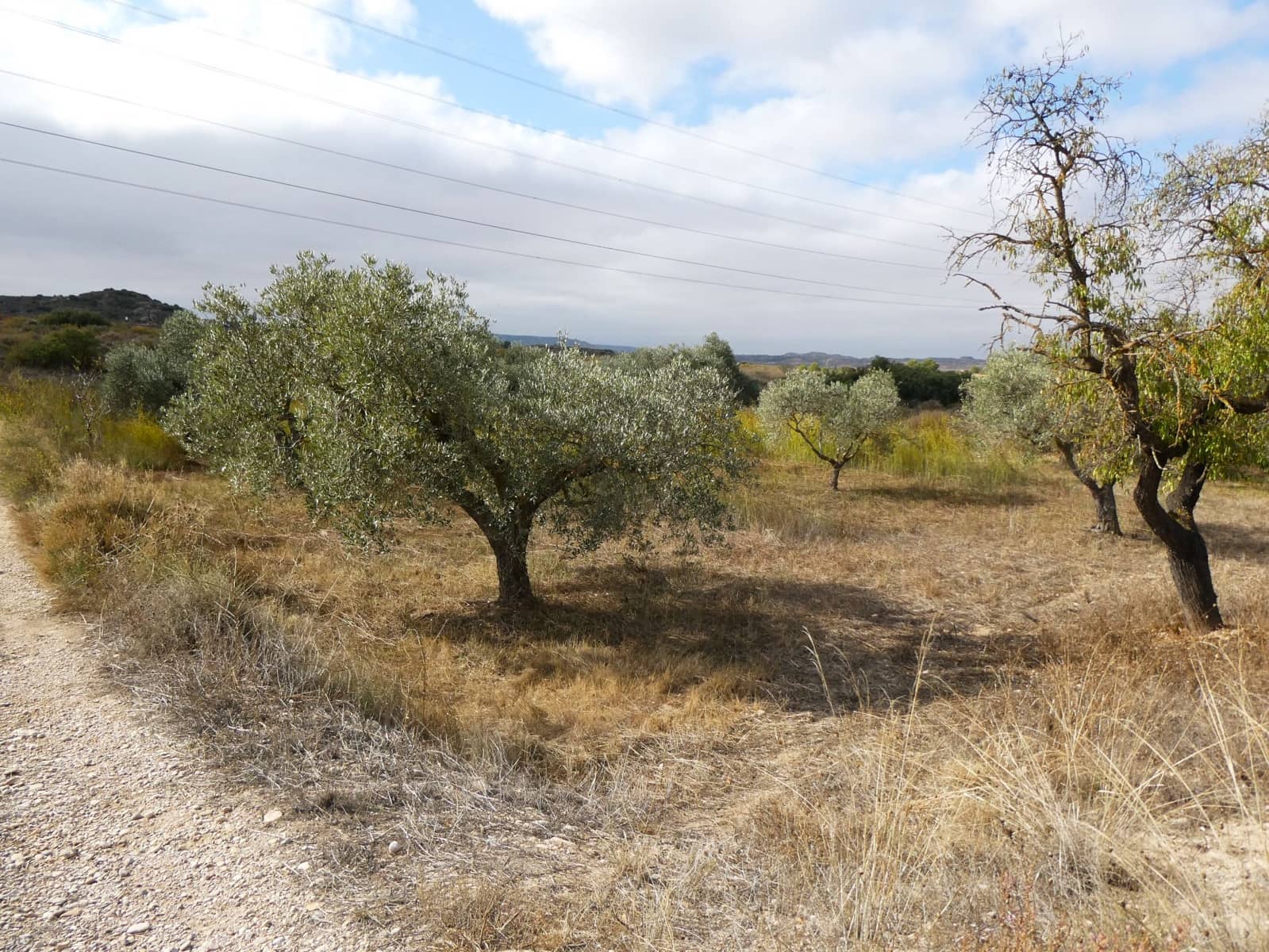 1 makuuhuone Maalaistalo myytävänä paikassa Caspe - 26 500 € (Ref: 9345675)