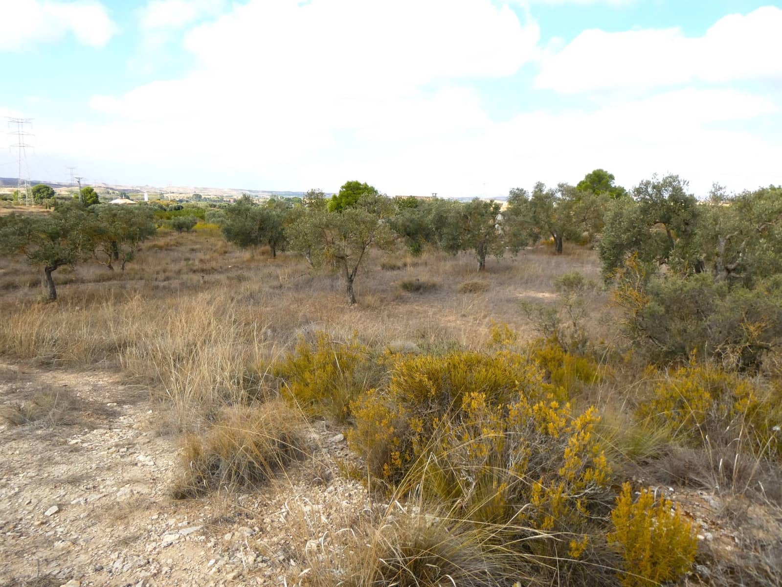 1 makuuhuone Maalaistalo myytävänä paikassa Caspe - 26 500 € (Ref: 9345675)