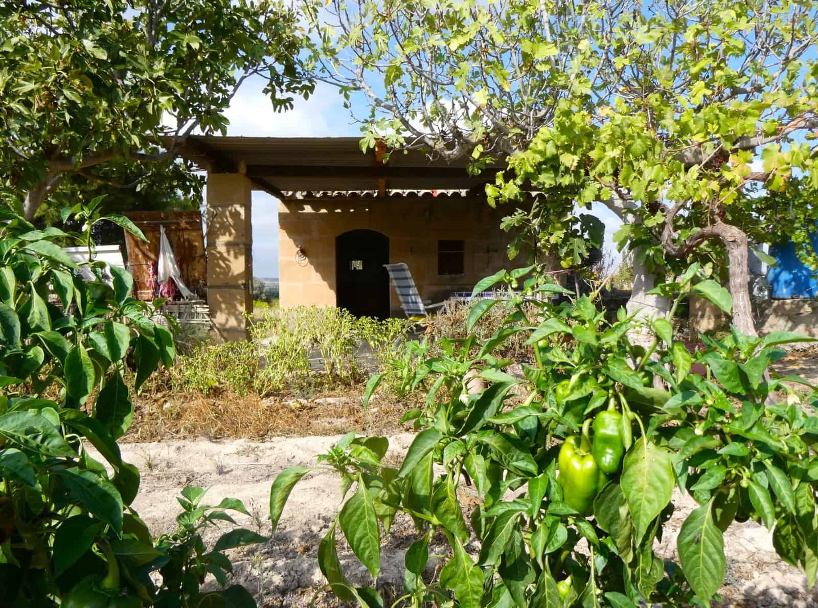 1 makuuhuone Maalaistalo myytävänä paikassa Caspe - 26 500 € (Ref: 9345675)