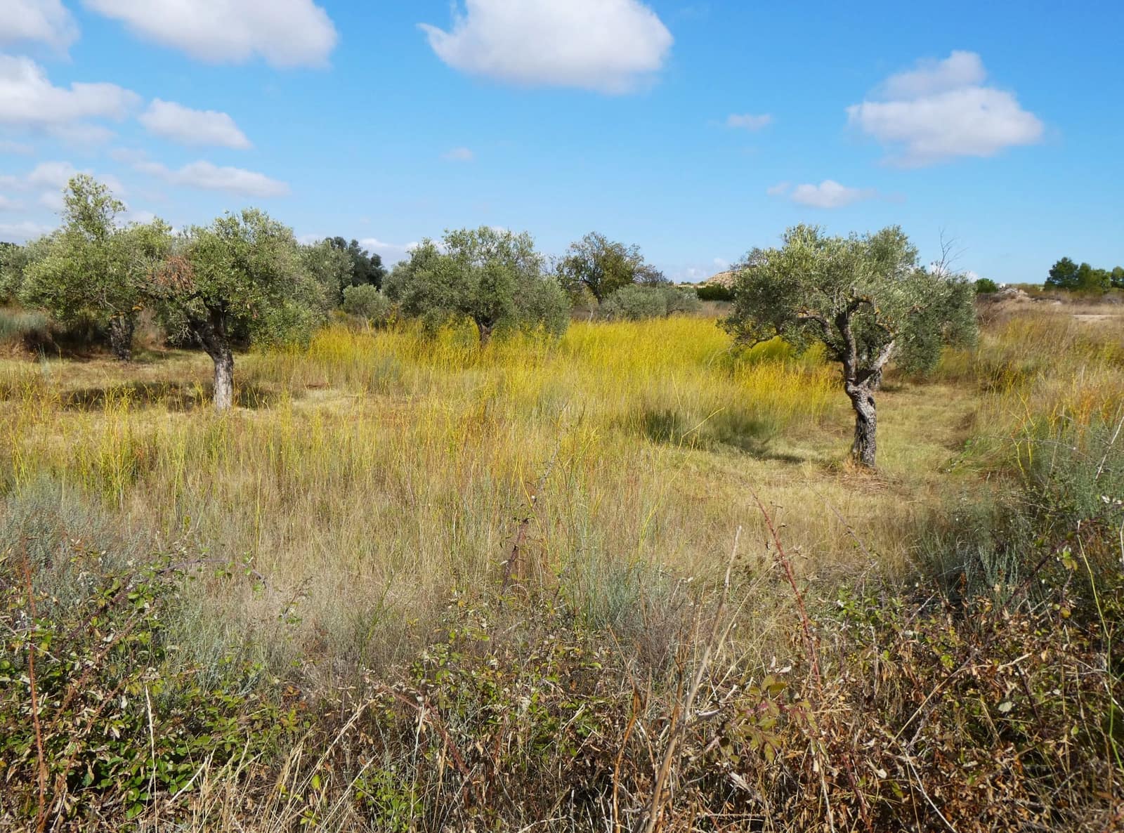 1 makuuhuone Maalaistalo myytävänä paikassa Caspe - 26 500 € (Ref: 9345675)