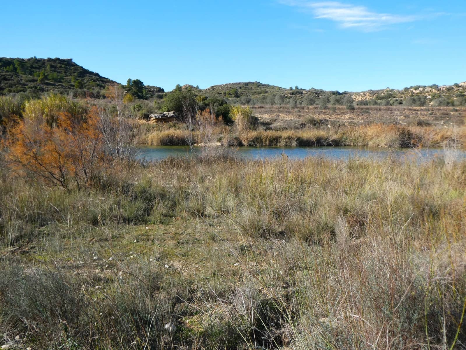 Finca/Country House for sale in Fabara - € 14,000 (Ref: 9414937)