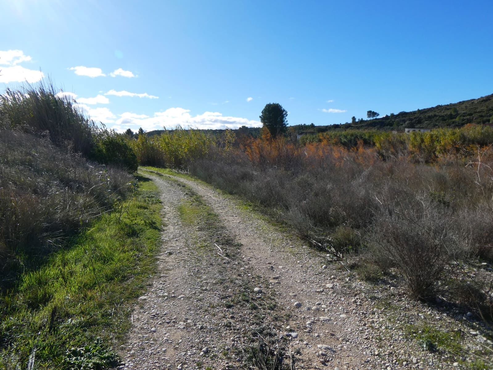 Finca/Country House for sale in Fabara - € 14,000 (Ref: 9414937)