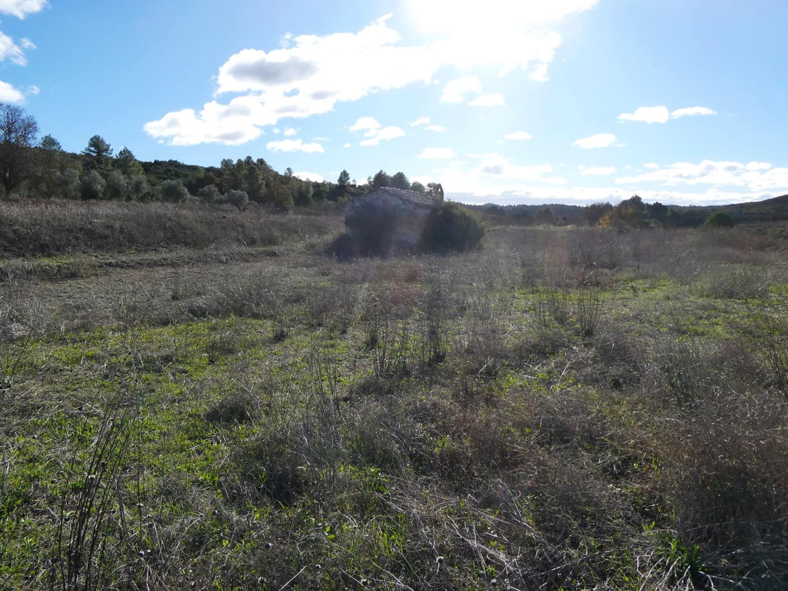 Finca/Country House for sale in Fabara - € 14,000 (Ref: 9414937)