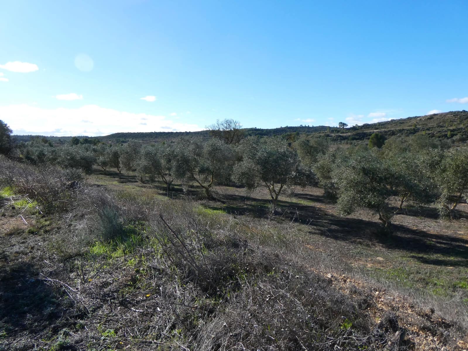 Finca/Country House for sale in Fabara - € 14,000 (Ref: 9414937)