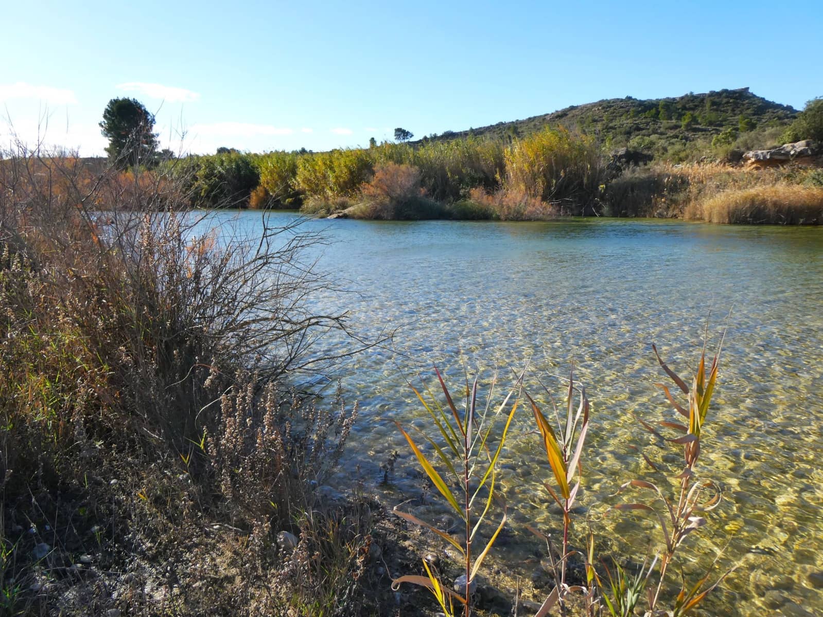 Finca/Country House for sale in Fabara - € 14,000 (Ref: 9414937)