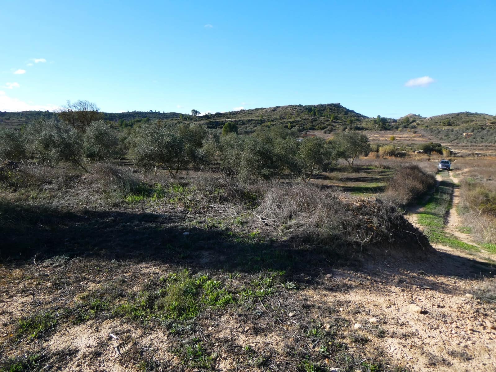 Finca/Country House for sale in Fabara - € 14,000 (Ref: 9414937)