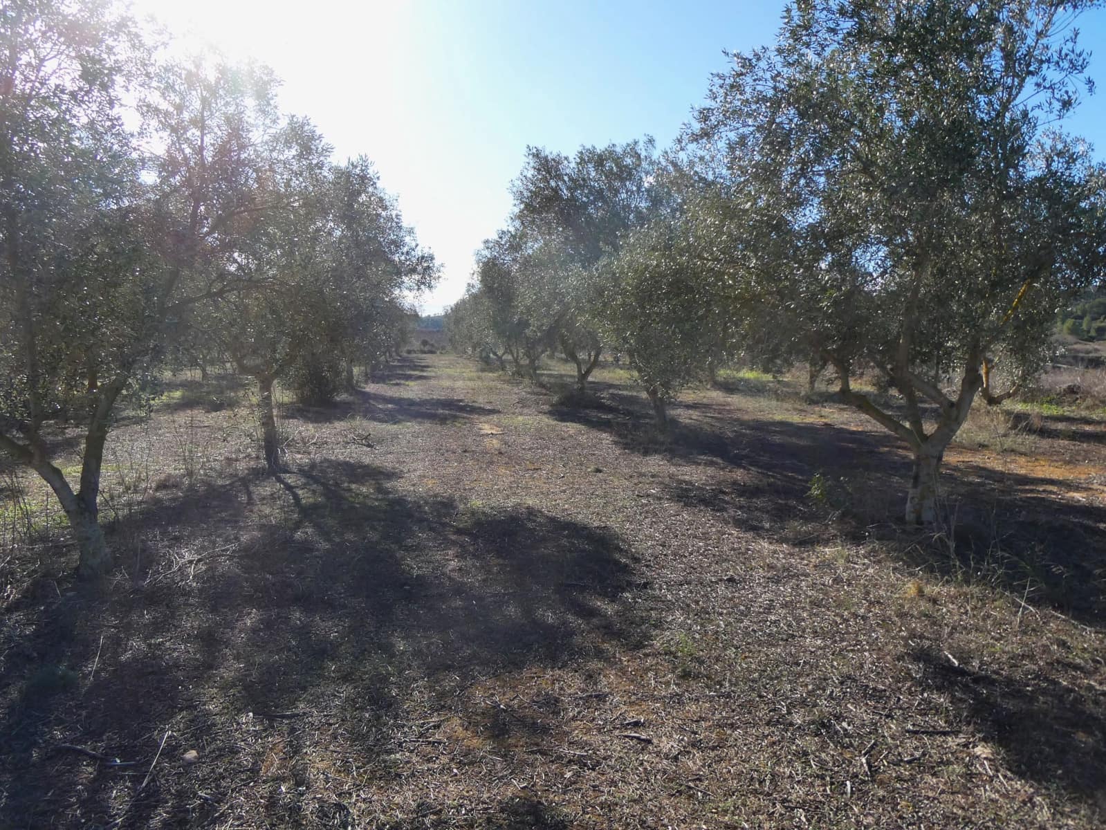 Finca/Country House for sale in Fabara - € 14,000 (Ref: 9414937)