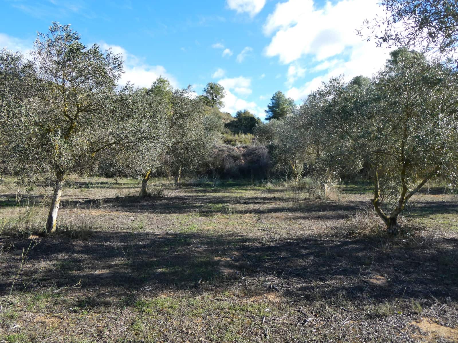 Finca/Country House for sale in Fabara - € 14,000 (Ref: 9414937)