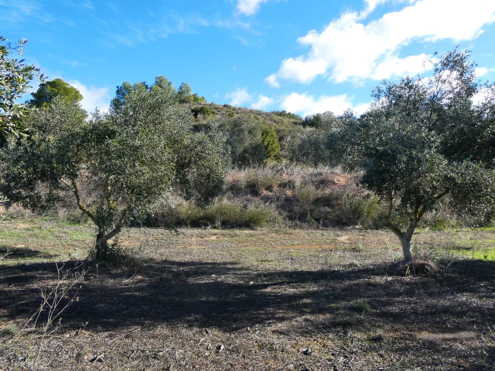 Finca/Country House for sale in Fabara - € 14,000 (Ref: 9414937)