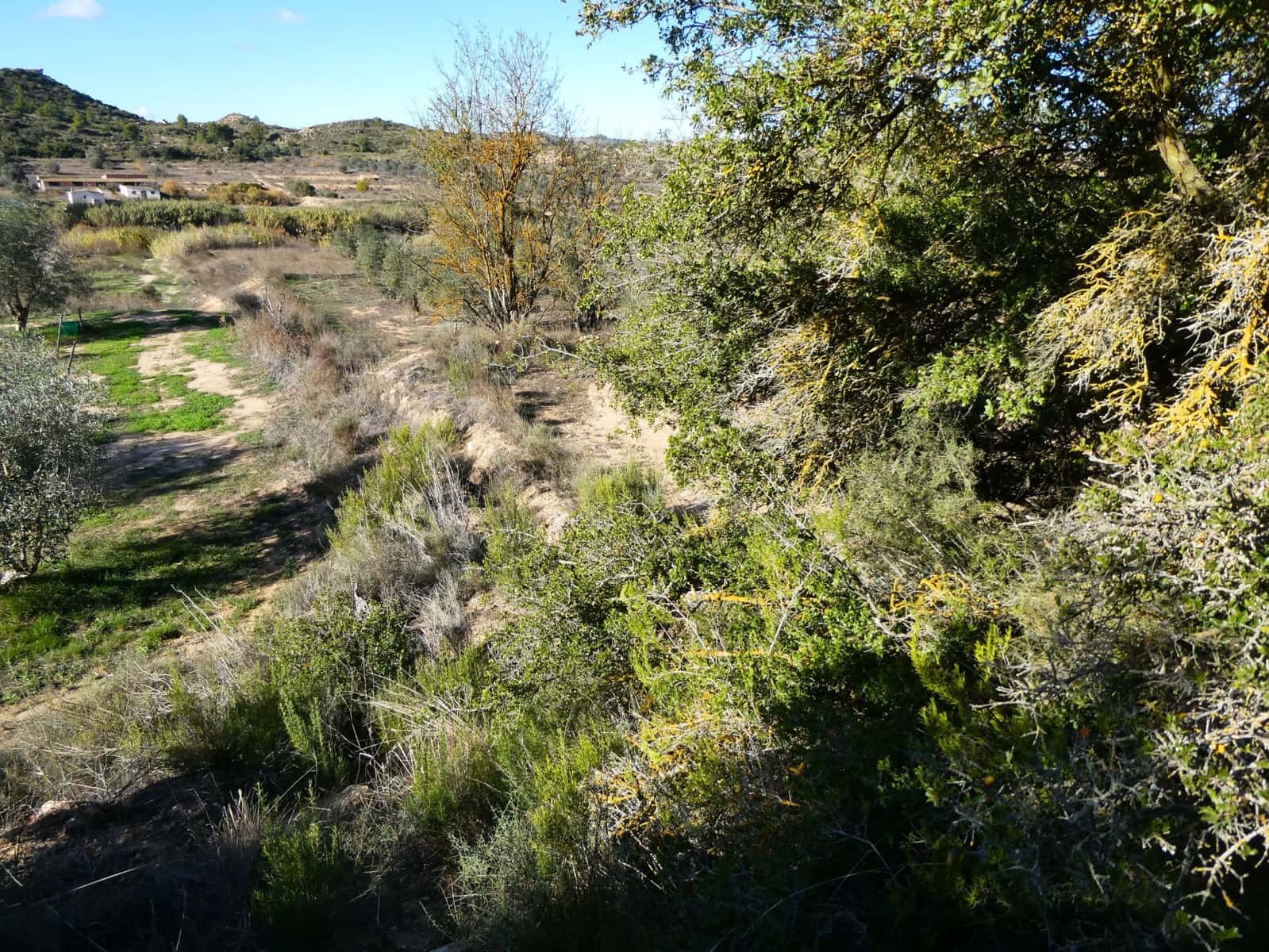 Finca/Country House for sale in Fabara - € 14,000 (Ref: 9414937)