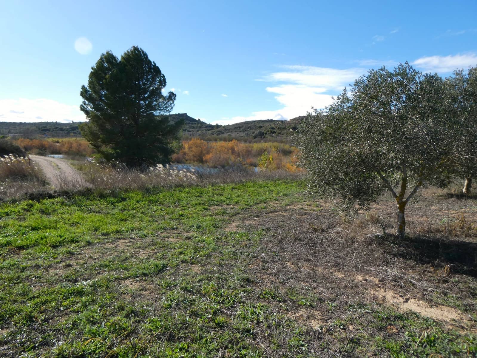 Maalaistalo myytävänä paikassa Fabara - 32 000 € (Ref: 9414938)