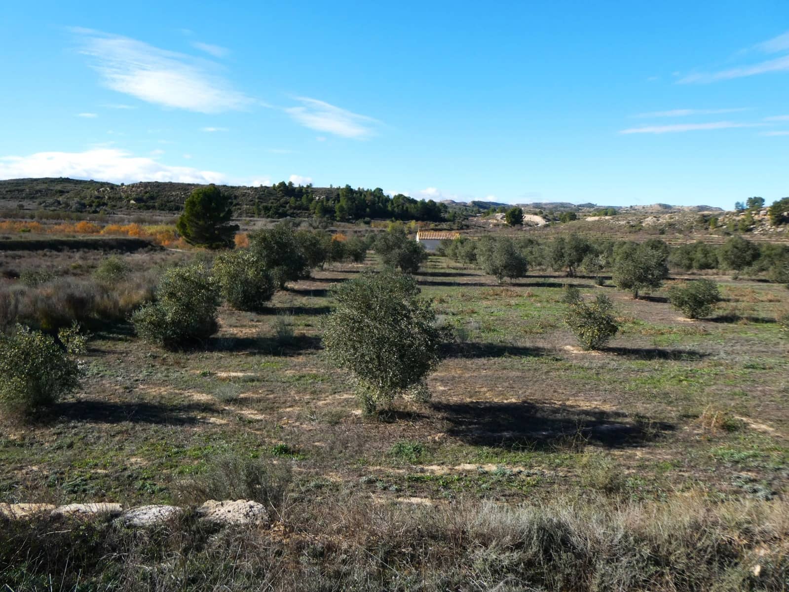 Maalaistalo myytävänä paikassa Fabara - 32 000 € (Ref: 9414938)