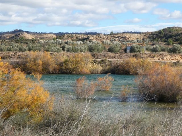 Finca/Landehus til salg i Fabara - € 32.000 (Ref: 9414938)