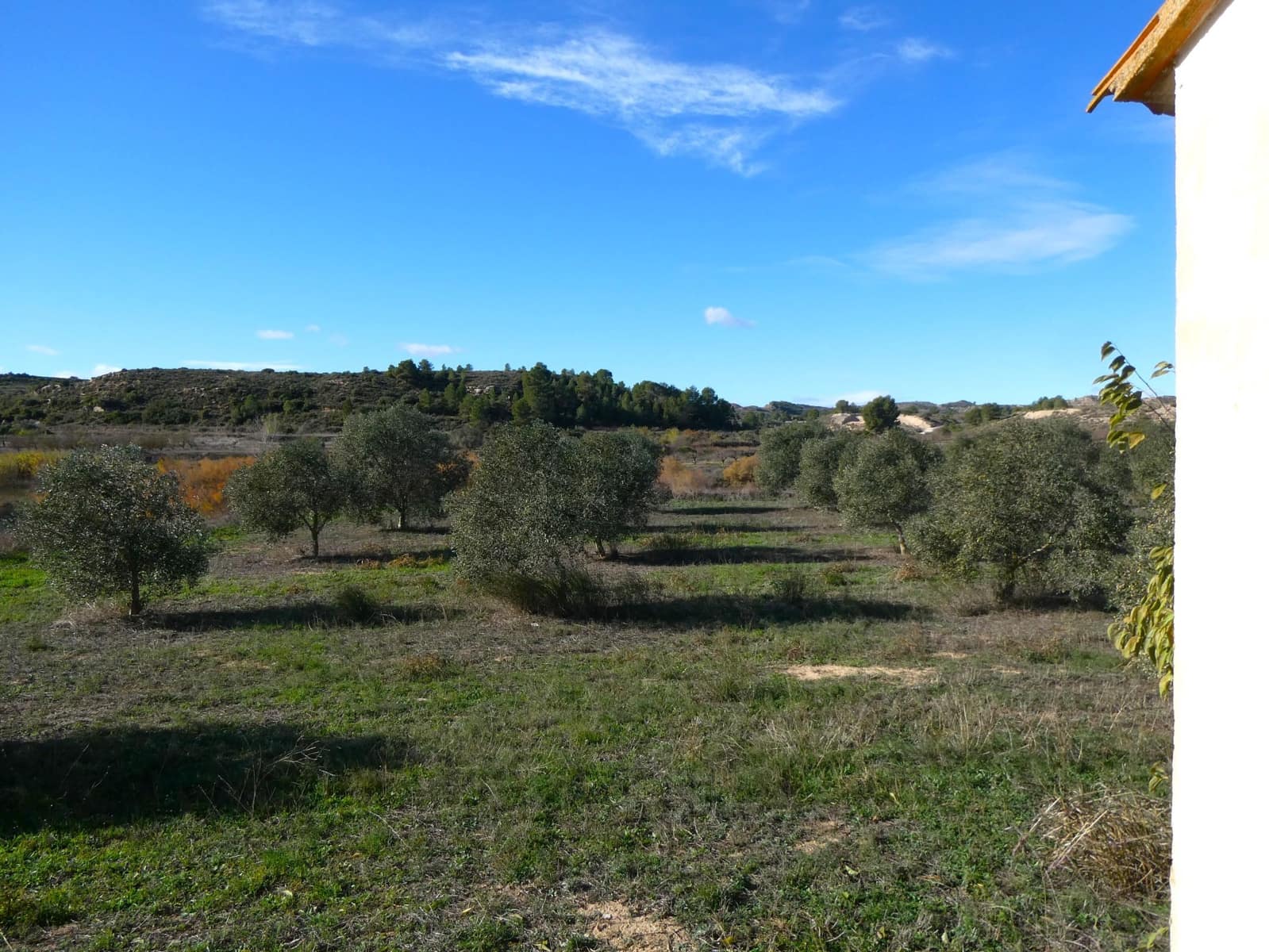 Maalaistalo myytävänä paikassa Fabara - 32 000 € (Ref: 9414938)