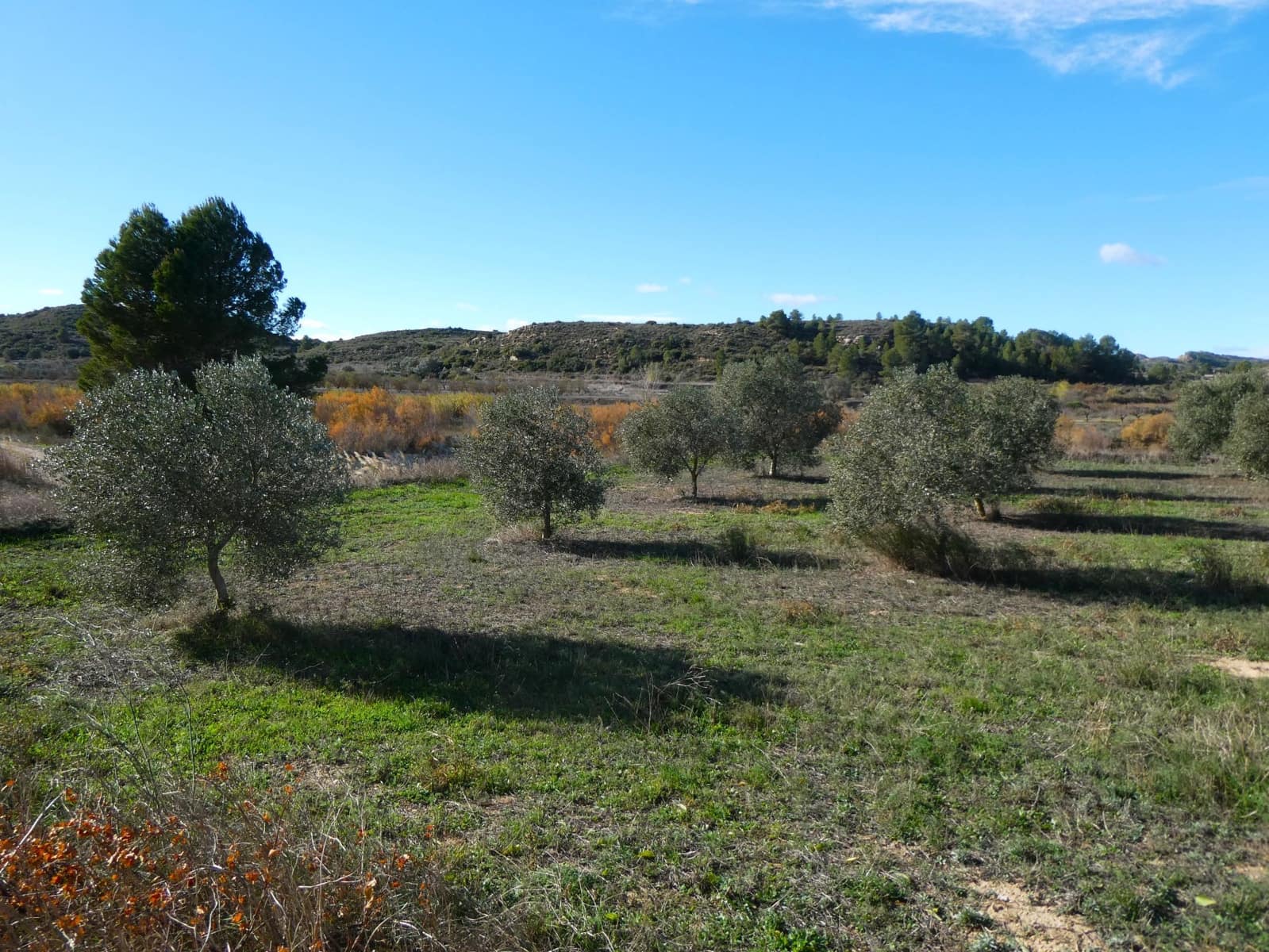 Maalaistalo myytävänä paikassa Fabara - 32 000 € (Ref: 9414938)