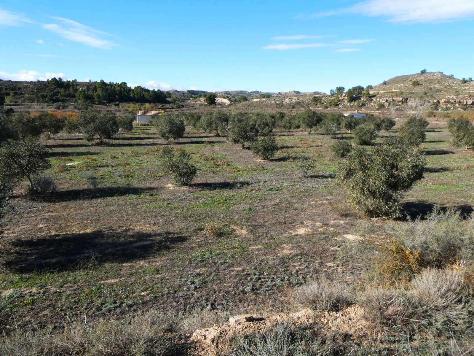 Maalaistalo myytävänä paikassa Fabara - 32 000 € (Ref: 9414938)