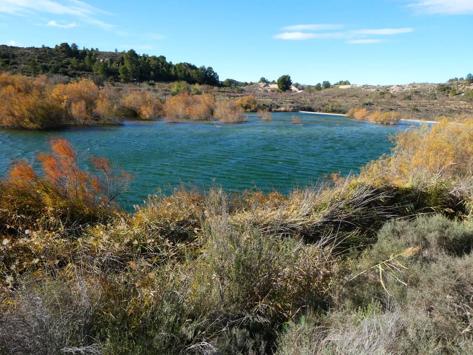 Maalaistalo myytävänä paikassa Fabara - 32 000 € (Ref: 9414938)