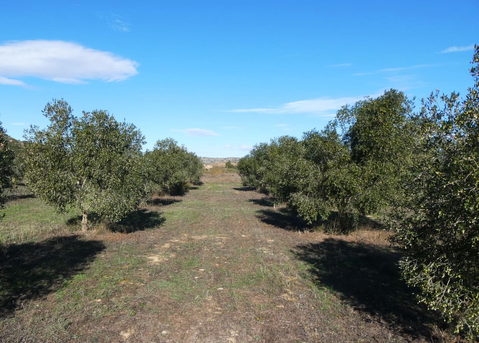 Maalaistalo myytävänä paikassa Fabara - 32 000 € (Ref: 9414938)