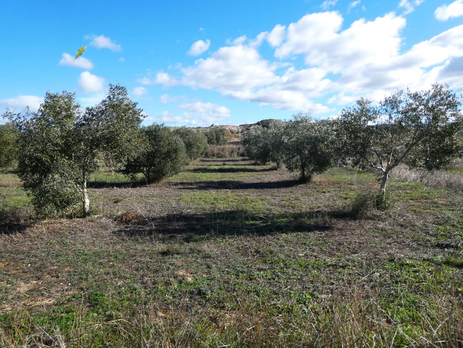 Maalaistalo myytävänä paikassa Fabara - 32 000 € (Ref: 9414938)