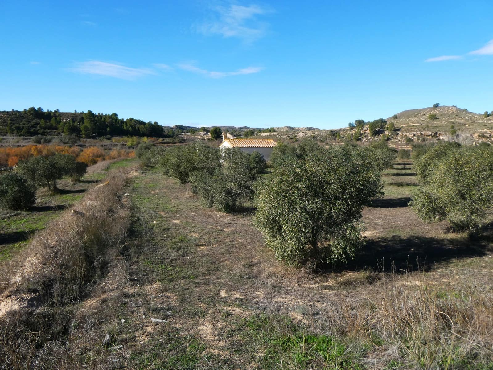 Maalaistalo myytävänä paikassa Fabara - 32 000 € (Ref: 9414938)