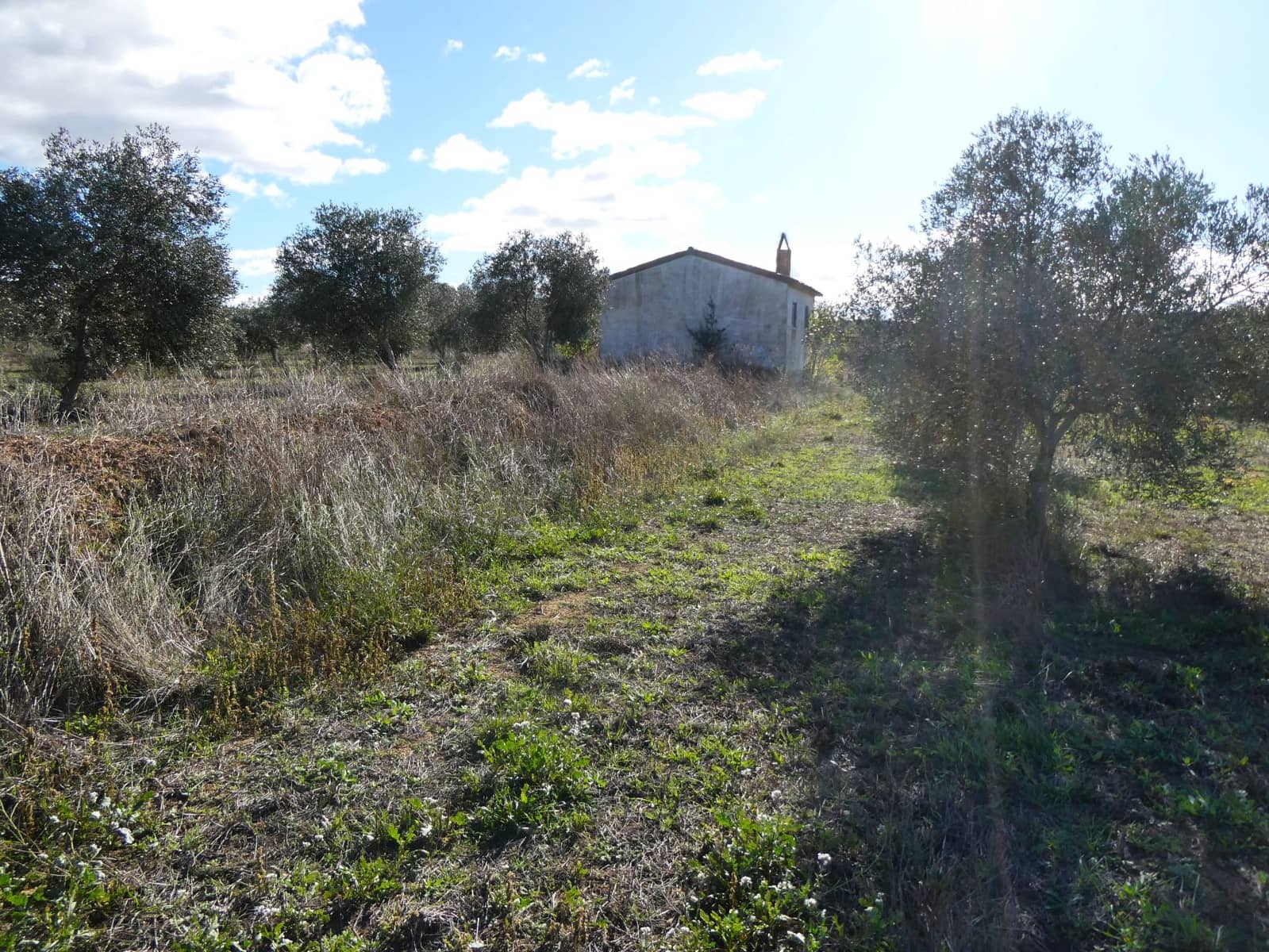 Maalaistalo myytävänä paikassa Fabara - 32 000 € (Ref: 9414938)