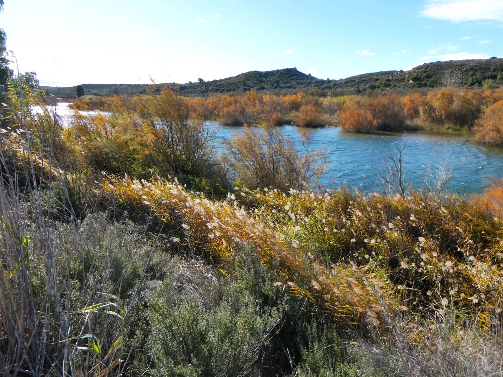 Maalaistalo myytävänä paikassa Fabara - 32 000 € (Ref: 9414938)