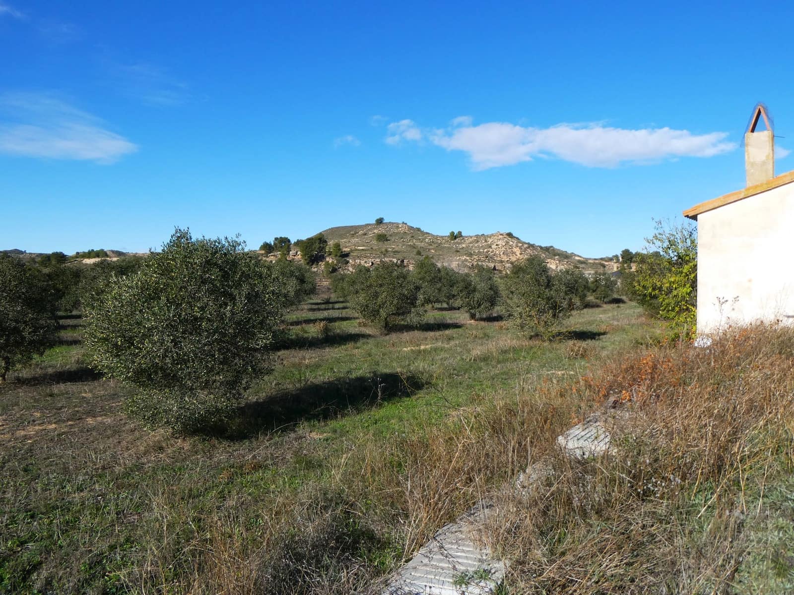 Maalaistalo myytävänä paikassa Fabara - 32 000 € (Ref: 9414938)