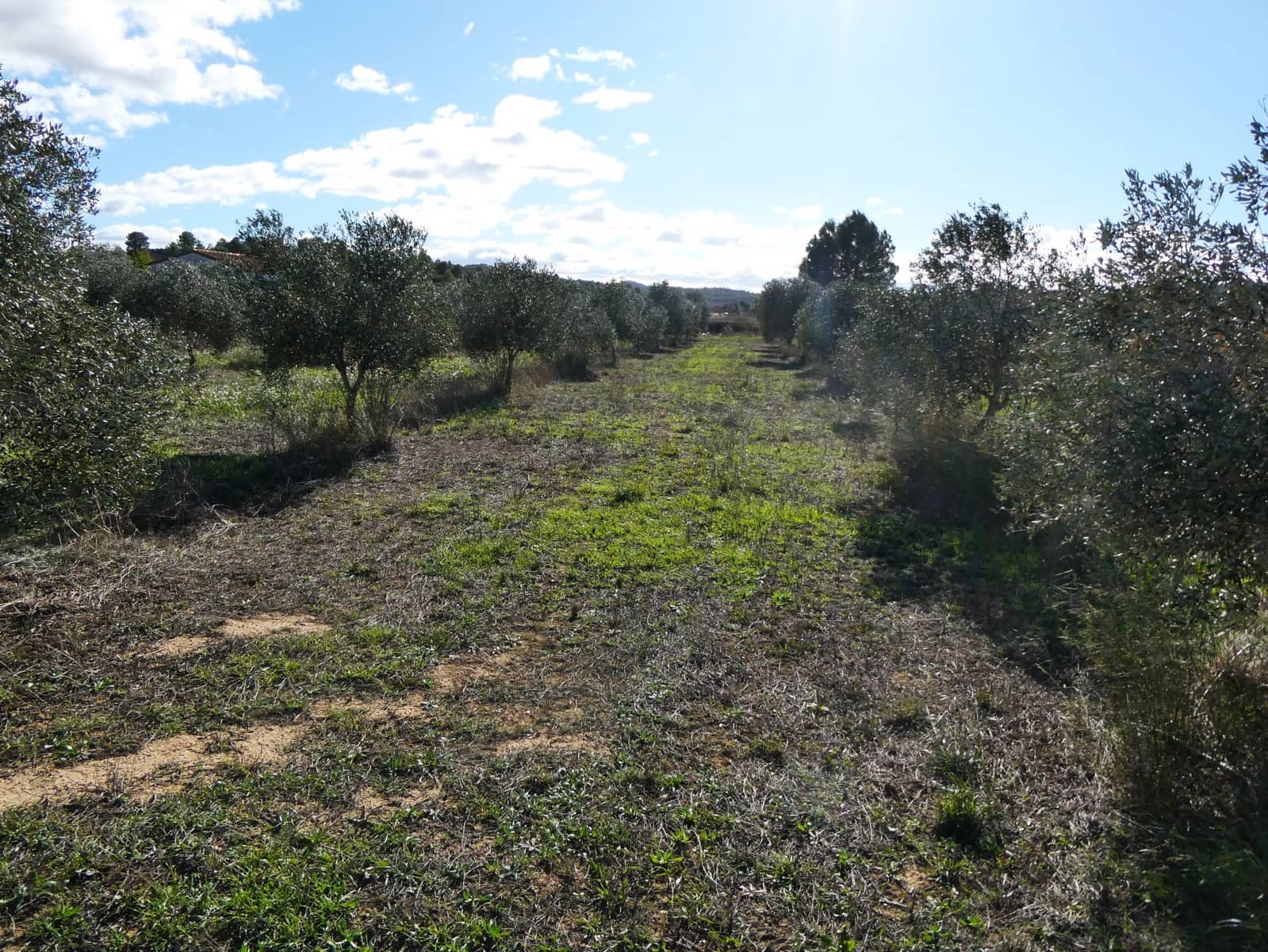 Maalaistalo myytävänä paikassa Fabara - 32 000 € (Ref: 9414938)