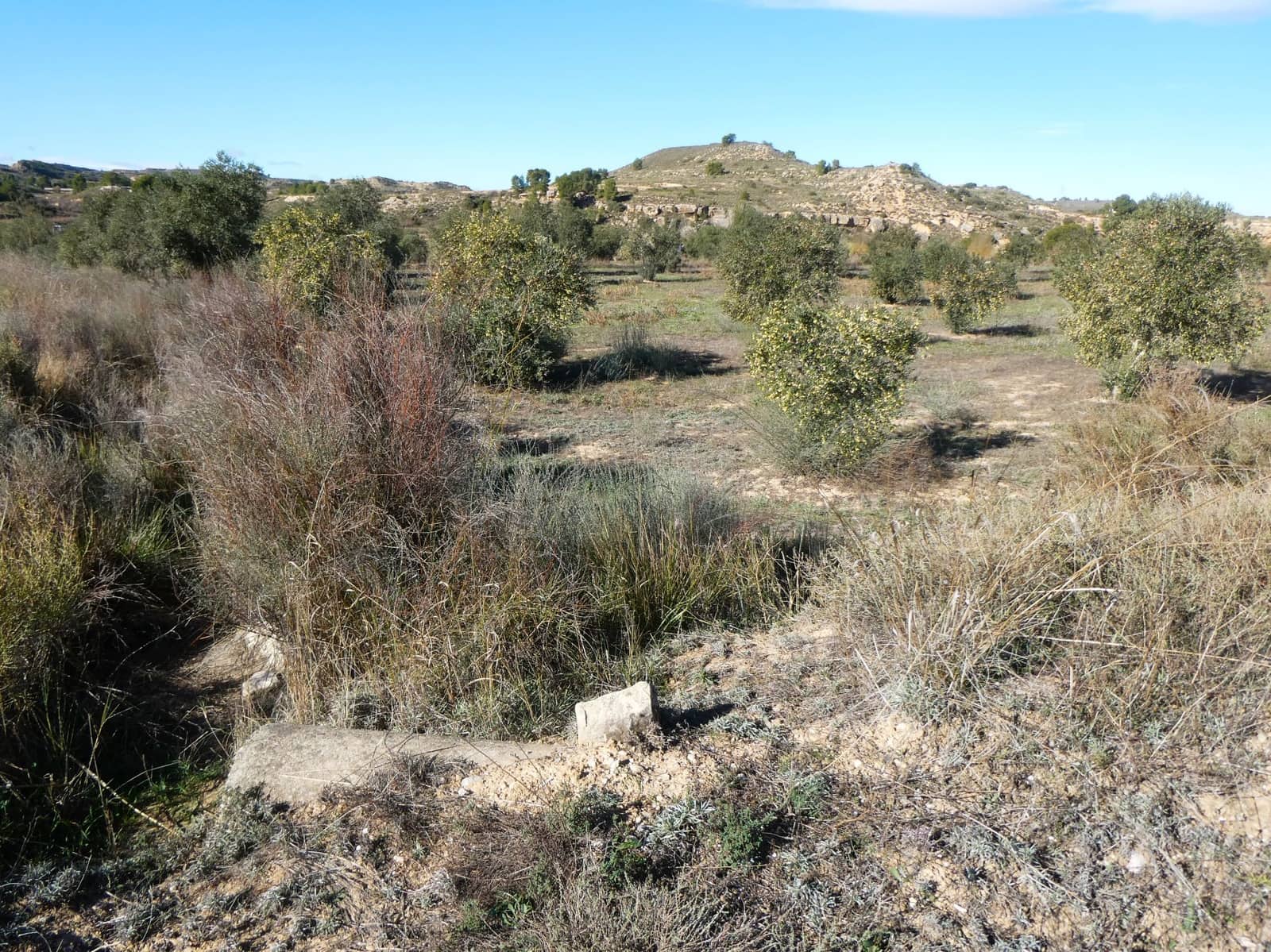 Maalaistalo myytävänä paikassa Fabara - 32 000 € (Ref: 9414938)