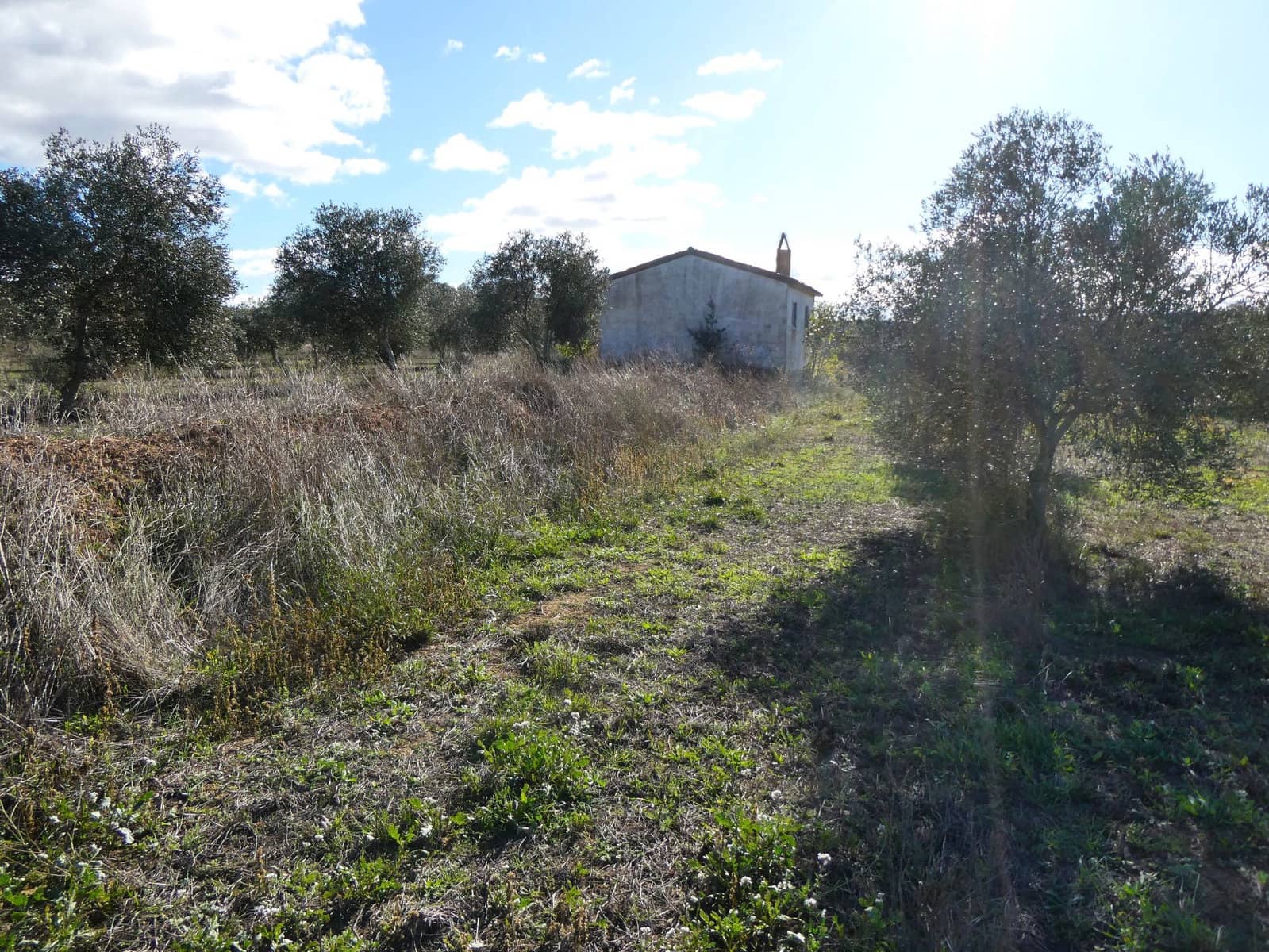 Finka/Dom wiejski na sprzedaż w Fabara - 27 000 € (Ref: 9414938)