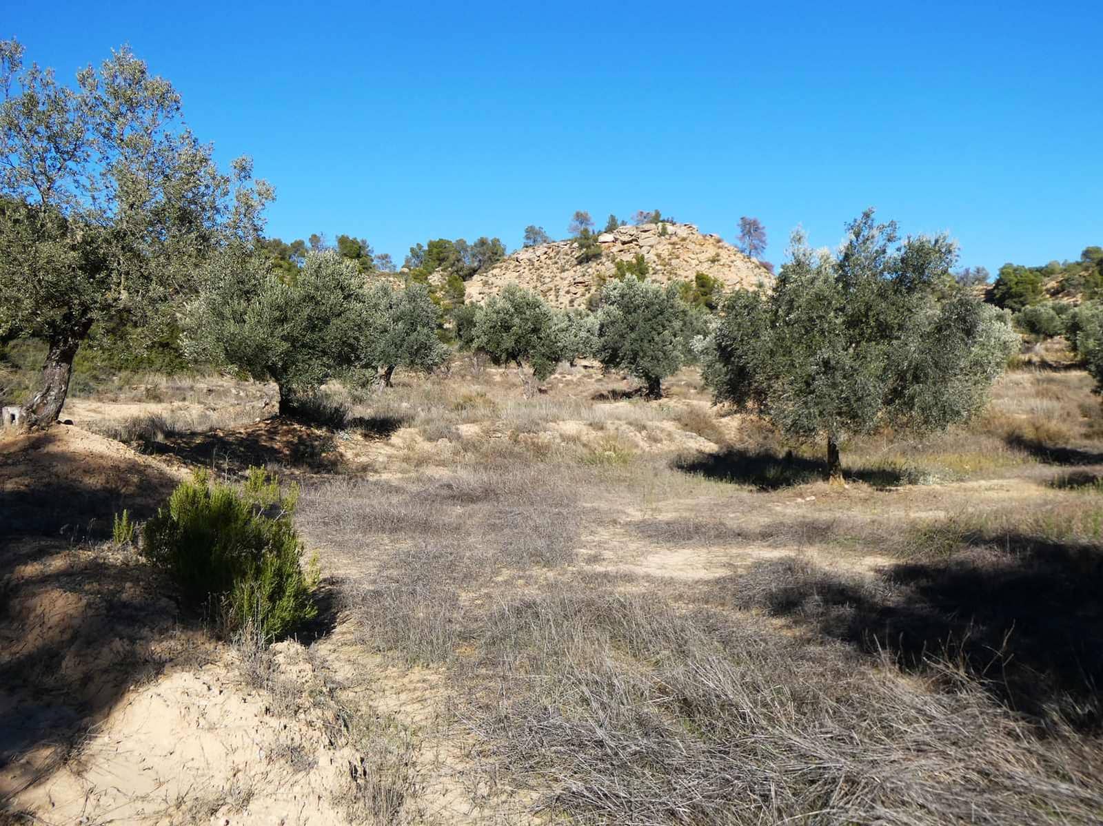 Finca/Herregård til salgs i Fabara - € 6 500 (Ref: 9425395)