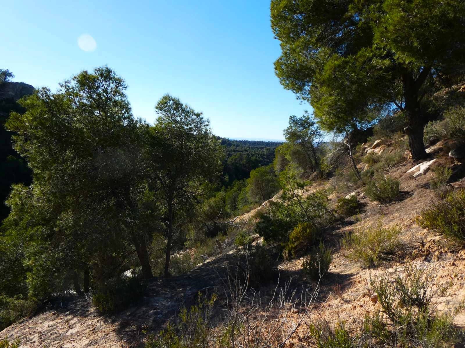 Finca/Herregård til salgs i Fabara - € 6 500 (Ref: 9425395)