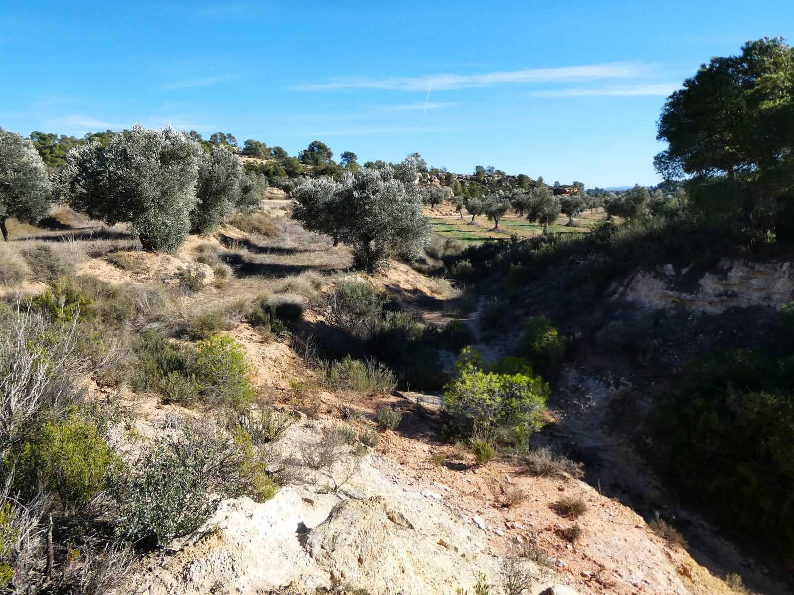 Finca/Herregård til salgs i Fabara - € 6 500 (Ref: 9425395)